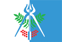 Флаг города Ижевск